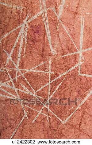 Stock Image - feel, tactile, wrinkle, designed, product. Fotosearch