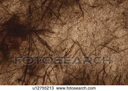 Stock Image - feel, tactile, wrinkle, designed, product. Fotosearch