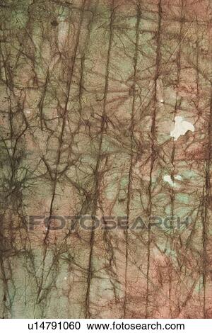 Stock Image - feel, tactile, wrinkle, designed, product. Fotosearch