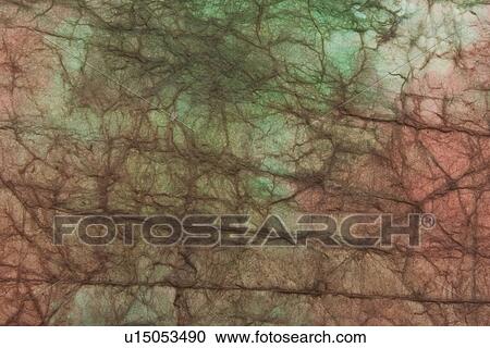 Stock Image - feel, tactile, wrinkle, designed, product. Fotosearch