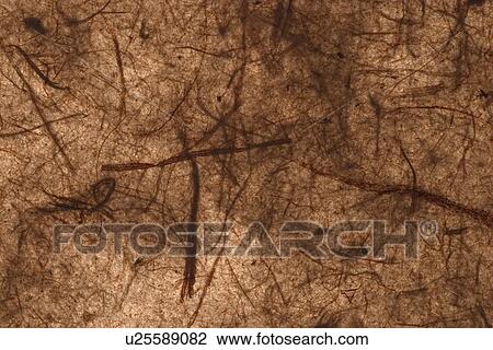 Stock Image - feel, tactile, wrinkle, designed, product. Fotosearch