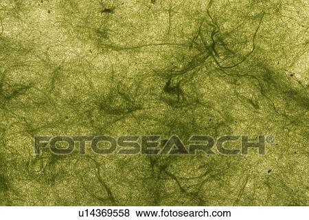 feel, tactile, wrinkle, designed, product View Large Photo Image Stock Photo - feel, tactile, wrinkle, designed, product. Fotosearch