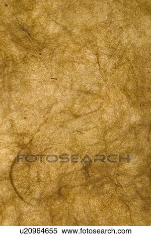 Stock Photography - feel, tactile, wrinkle, designed, product. Fotosearch