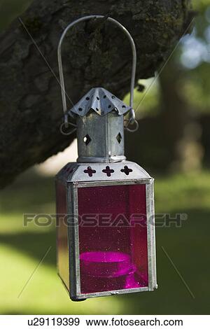 Stock Photo - Close-Up, Decorative, Equipment, Focus On Foreground, Green. Fotosearch