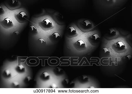 Picture - cutter, tool, shape, shadow, aluminum, aid. Fotosearch
