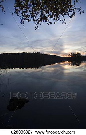 Stock Photo - Blue, Branch, Cloud, Dark, Dusk. Fotosearch