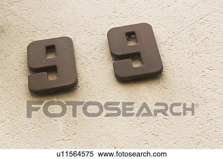 Stock Photography - Close-Up, Day, Mounted. Fotosearch