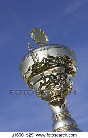 Blue, Close-Up, Cup, Day View Large Photo Image Stock Photo - Blue, Close-Up, Cup, Day. Fotosearch