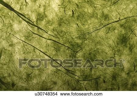 feel, tactile, wrinkle, designed, product View Large Photo Image Picture - feel, tactile, wrinkle, designed, product. Fotosearch