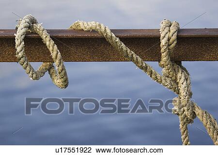Stock Image - Blue, Close-Up, Day, Focus On Foreground. Fotosearch