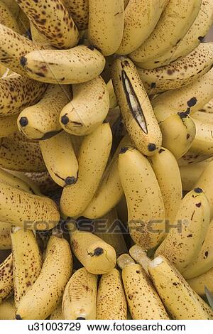 close-up, bananas View Large Photo Image Stock Photo - close-up, bananas. Fotosearch