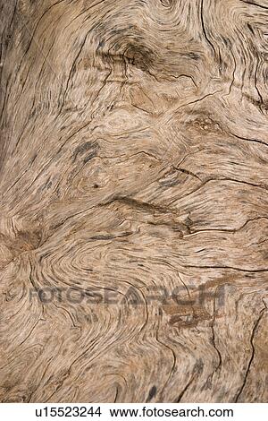 Picture - close-up, old. Fotosearch