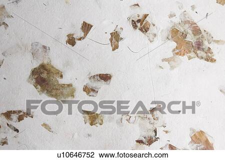 Stock Image - arrangement, art, appearance. Fotosearch