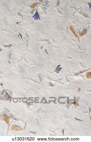 Stock Image - background, artistic, pattern, dry flowers, appearance, art. Fotosearch