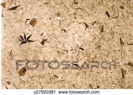 Stock Image - background, artistic, pattern, dry flowers, appearance, art. Fotosearch
