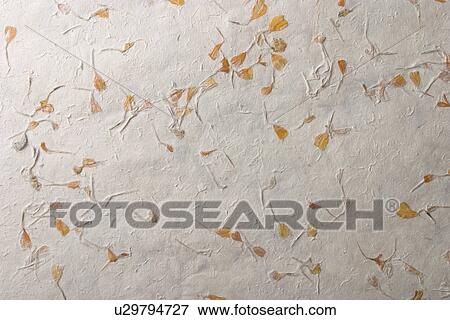 background, artistic, pattern, dry flowers, appearance, art View Large Photo Image Stock Photo - background, artistic, pattern, dry flowers, appearance, art. Fotosearch