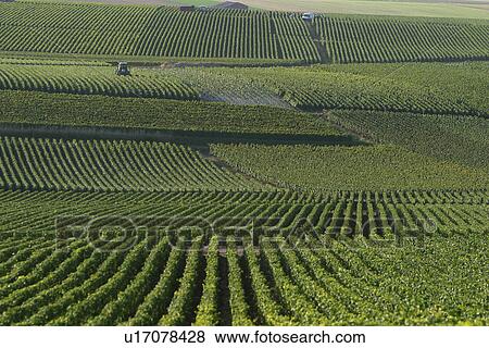 Stock Photo - outdoor, nature, natural, environment, beauty, climate. Fotosearch