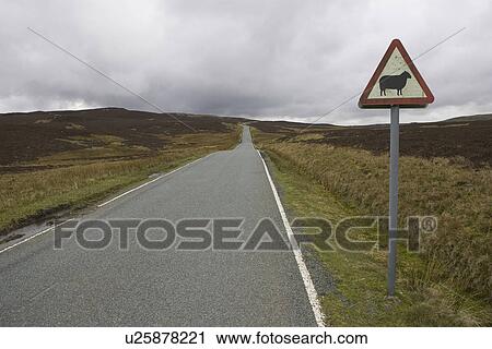 Cloud, Grass, Day, Crossing Sign, Animal Crossing Sign View Large Photo Image Stock Image - Cloud, Grass, Day, Crossing Sign, Animal Crossing Sign. Fotosearch