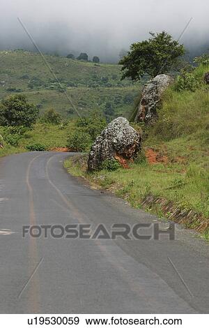Stock Photo - green, wilderness, dense, dense growth, natural, outdoors. Fotosearch