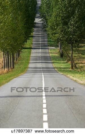 outdoors, natural, foliage, flora, greenery, expanse View Large Photo Image Stock Photo - outdoors, natural, foliage, flora, greenery, expanse. Fotosearch