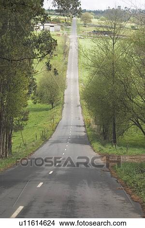Picture - street, outdoors, way, path, close-up, clear. Fotosearch