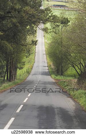 Stock Photo - street, outdoors, way, path, close-up, clear. Fotosearch