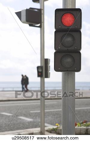 Close-Up, Day, Focus On Foreground, Outdoors View Large Photo Image Stock Photo - Close-Up, Day, Focus On Foreground, Outdoors. Fotosearch