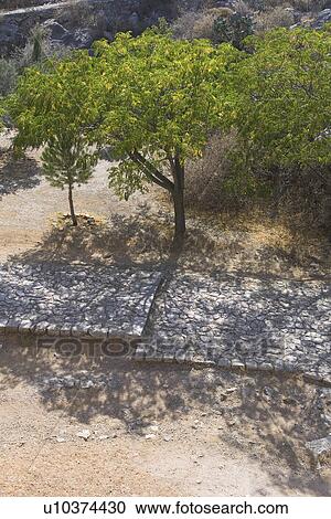 Stock Image - Calm, Close-Up, Day, Landscape, Leaves. Fotosearch