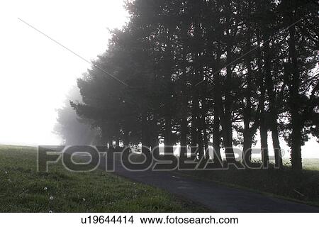calm, cold, autumn View Large Photo Image Picture - calm, cold, autumn. Fotosearch