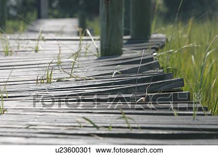 Stock Image - crops, vegetation, wild, bridge, walkway, path. Fotosearch
