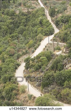 Stock Photo - Day, Forest, Green, Hill. Fotosearch