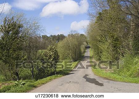 outdoors, natural, foliage, flora, greenery, expanse View Large Photo Image Stock Photo - outdoors, natural, foliage, flora, greenery, expanse. Fotosearch