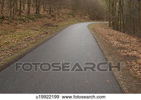 outdoors, natural, foliage, flora, greenery, expanse View Large Photo Image Stock Photo - outdoors, natural, foliage, flora, greenery, expanse. Fotosearch
