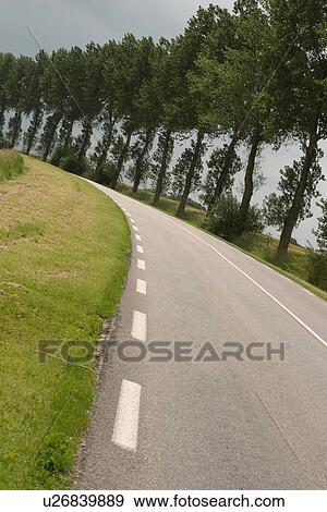 outdoors, natural, foliage, flora, greenery, expanse View Large Photo Image Stock Photo - outdoors, natural, foliage, flora, greenery, expanse. Fotosearch
