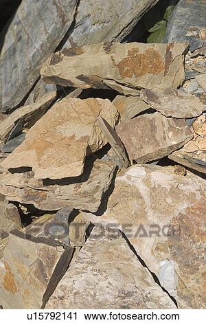 background, bank, bay View Large Photo Image Stock Image - background, bank, bay. Fotosearch