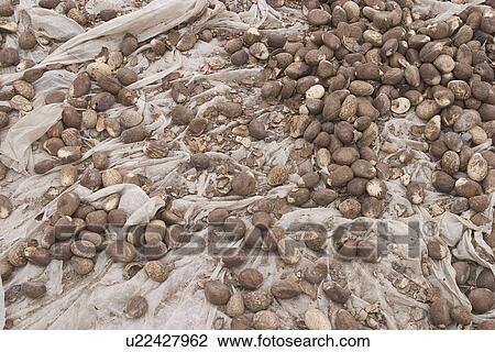 background, bank View Large Photo Image Stock Image - background, bank. Fotosearch