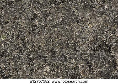 Stock Image - Background, Close-Up, Corrosion, Nature. Fotosearch