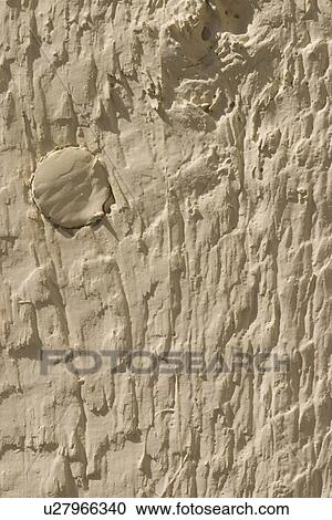 Stock Image - barren, built, arrangement. Fotosearch