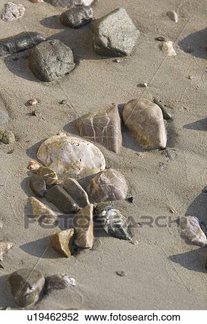 Stock Image - Beach, Day, Outdoors. Fotosearch