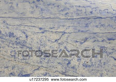 Stock Photography - Blue, Design, Close-Up, Appearance. Fotosearch