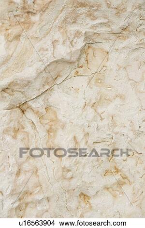 Close-Up, Design, Decor, Day, Appearance View Large Photo Image Picture - Close-Up, Design, Decor, Day, Appearance. Fotosearch