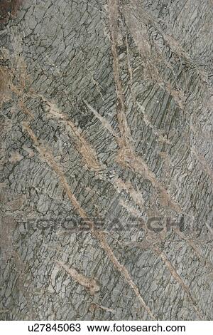 Stock Image - detail, geology, metamorphic, rock, mottled, rough. Fotosearch