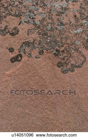 Stock Photograph - detail, geology, metamorphic, rock, mottled, rough. Fotosearch