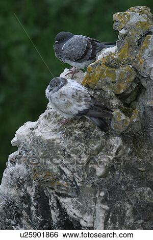 Stock Photograph - scenic, nature, sandstone, eroded, erosion, gullies. Fotosearch