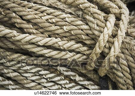 Braided, Close-Up, Coil, Day, Fibers View Large Photo Image Stock Photograph - Braided, Close-Up, Coil, Day, Fibers. Fotosearch