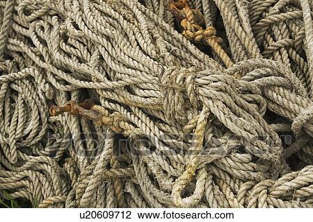 Stock Image - Close-Up, Coil, Cord, Day, Fibers. Fotosearch
