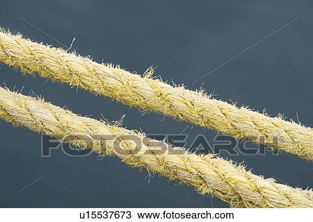 Stock Image - Close-Up, Fibers. Fotosearch