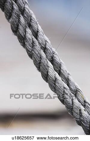Stock Photo - Force, Hanging, Outdoors. Fotosearch