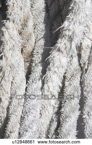 ropes, braided, dock, industrial, random, detail View Large Photo Image Stock Image - ropes, braided, dock, industrial, random, detail. Fotosearch