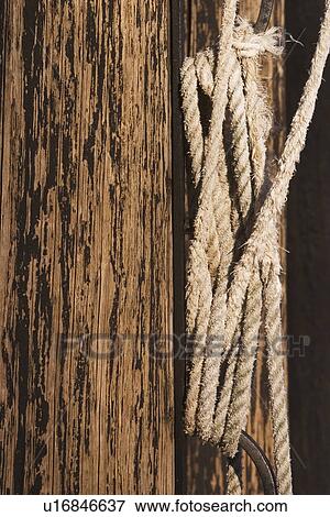 surface, planks, poles, wood, wooden, wood grain View Large Photo Image Stock Photo - surface, planks, poles, wood, wooden, wood grain. Fotosearch